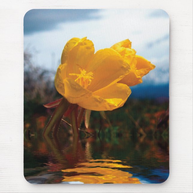 Flower Mousepad (Front)