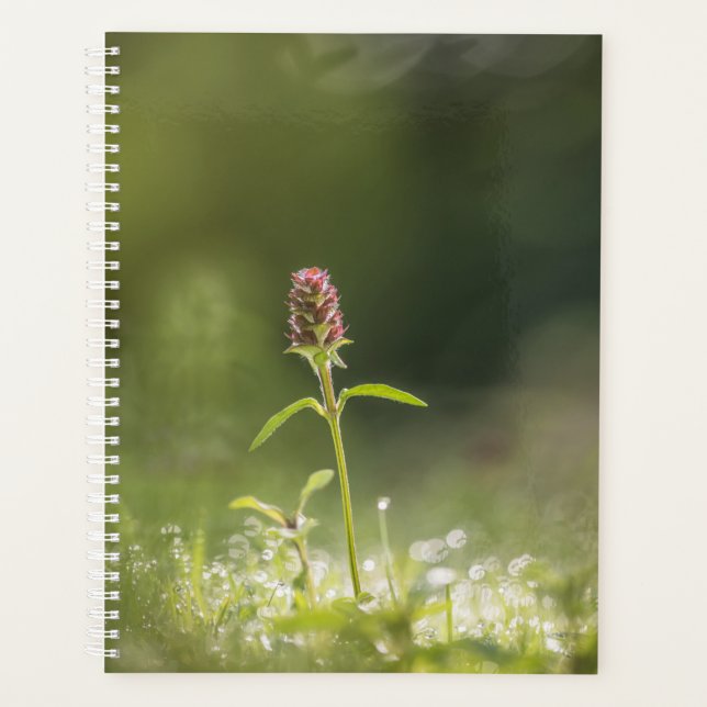 Flower Nature Photo Planner (Front)