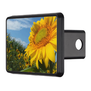 flower, nature, sun, plant, summer, sunflower, trailer hitch cover