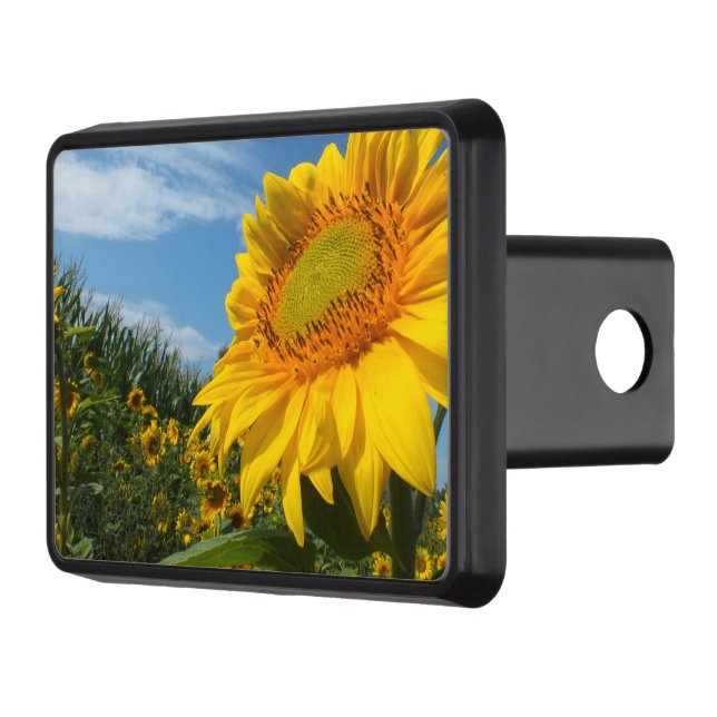 flower, nature, sun, plant, summer, sunflower, trailer hitch cover (Left)