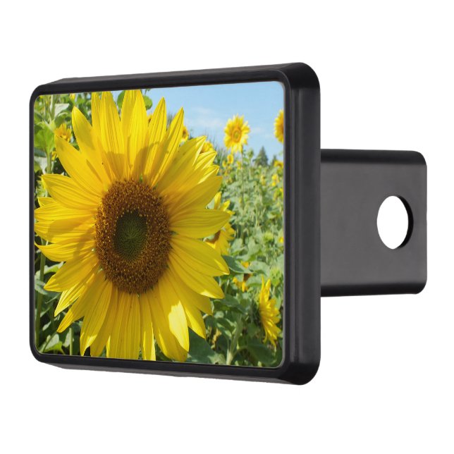 flower, nature, sunflower, summer, blossom, plant, trailer hitch cover (Left)
