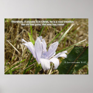 Flower - New Creation Poster