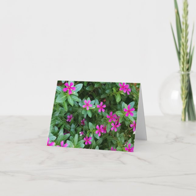 Flower Note Cards (Front)