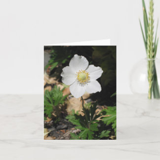 Flower Notecards