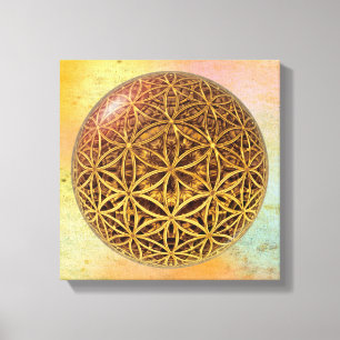 Flower Of Life / Blume des Lebens - ball grid gold Canvas Print