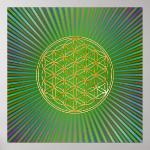 Flower of Life / Blume des Lebens - gold Poster