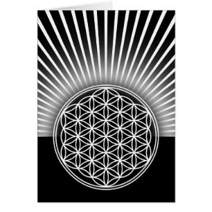 Flower of Life / Blume des Lebens - white flat