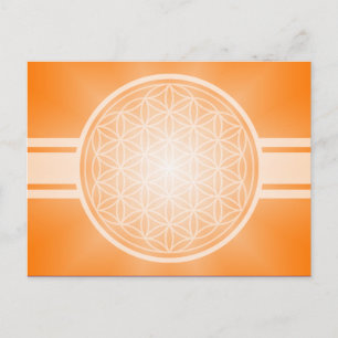 Flower of Life / Blume des Lebens - white transpa. Postcard