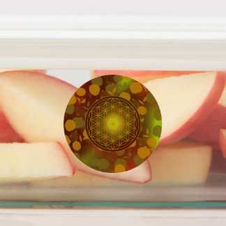 flower of life, chakra,zen,sacred geometric,
