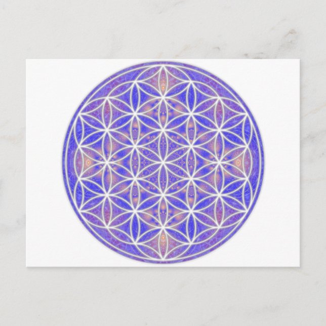 Flower of Life (Colour 3) Postcard (Front)