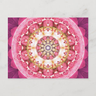 Flower of Life Mandala 5 Cards