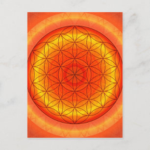 Flower of Life no. 2 created by Tutti Postcard