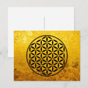 FLOWER OF LIFE - Sacred Geometry Symbol full 1 Postcard