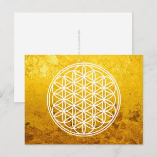 FLOWER OF LIFE - Sacred Geometry Symbol outline 2 Postcard