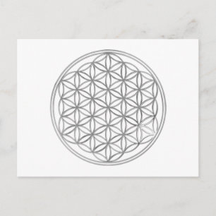 Flower Of Life   silver Postcard