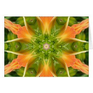 Flower of Peace Mandala