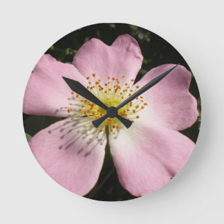 Flower of wild blossom rose round clock
