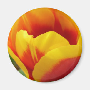 Flower One Magnet