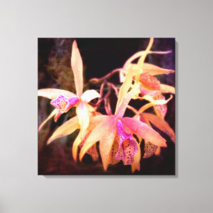 Flower - Orchid - Laelia - Midnight Passion Canvas Print