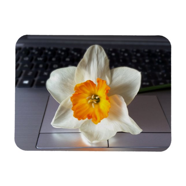 Flower over keyboard magnet (Horizontal)
