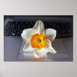 Flower over keyboard poster