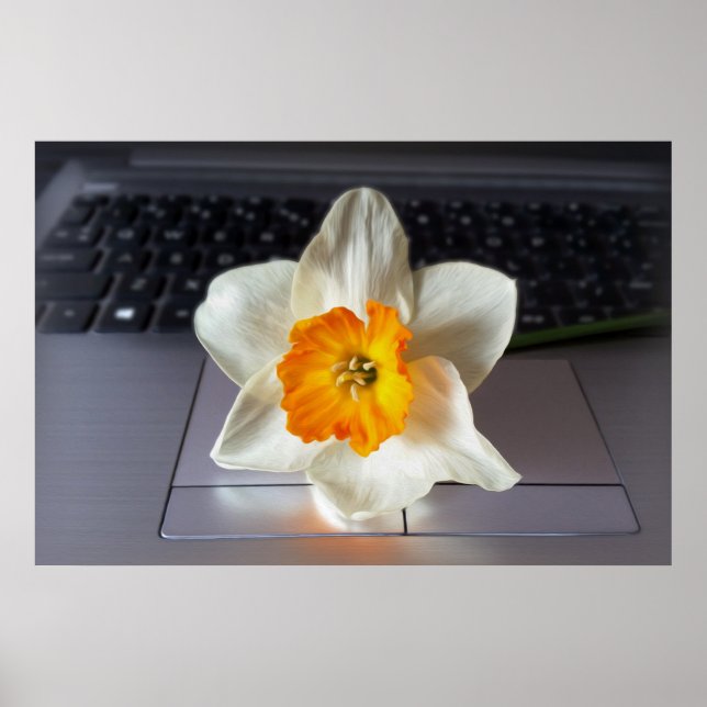 Flower over keyboard poster (Front)