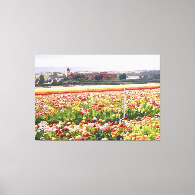 Flower Painting - Flower Fields in Carlsbad  Canvas Print (Front)