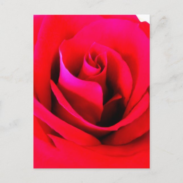 Flower Painting Postcard (Front)