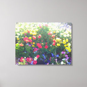 Flower Patch Canvas Print