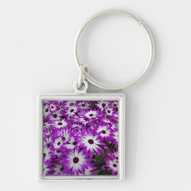 Flower pattern, Kuekenhof Gardens, Lisse, Keychain (Front)