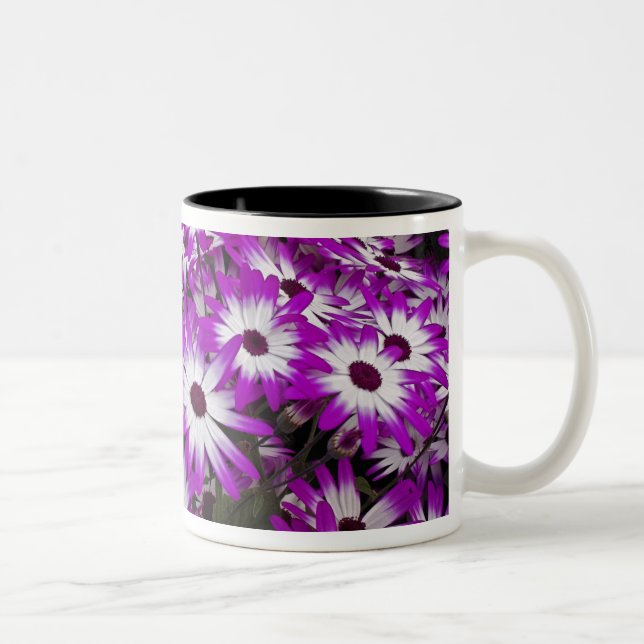 Flower pattern, Kuekenhof Gardens, Lisse, Two-Tone Coffee Mug (Right)