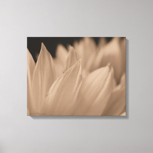 Flower Petals in Sepia Tone Canvas Print