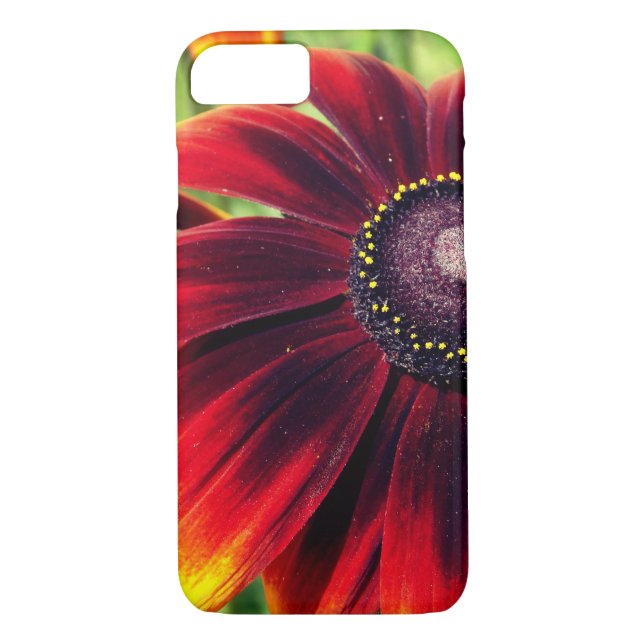 Flower Photo iPhone SE + iPhone 5/5S, Barely There Case-Mate iPhone Case (Back)