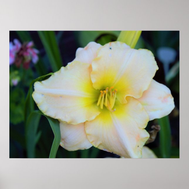 Flower Photo Poster (Front)