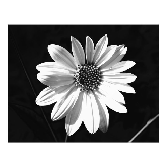 flower photo print (Front)