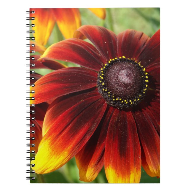 Flower Photo Yellow Brown Notebook (Front)