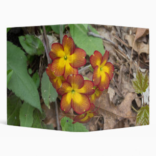 Flower Photography Binder