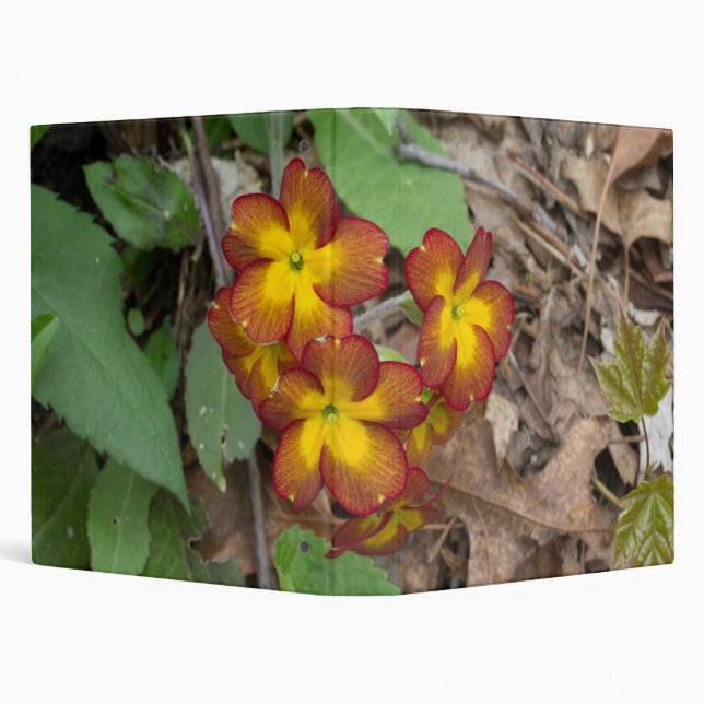 Flower Photography Binder (Background)