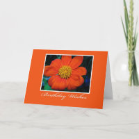Flower Photography Birthday Wishes