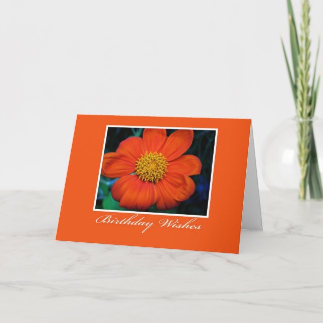 Flower Photography Birthday Wishes Card (Front)