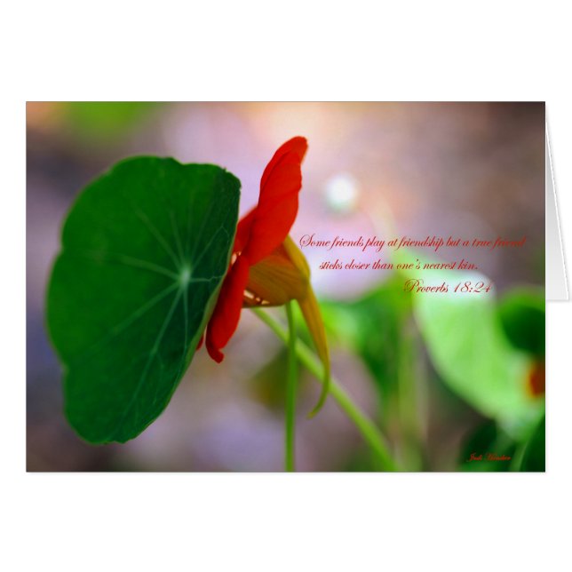 Flower & Plant lean on each other. (Front Horizontal)