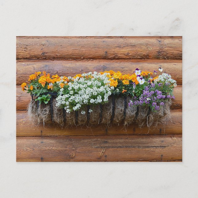 Flower Planter Log Cabin Postcard (Front)