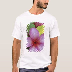 Flower, Plumeria sp.), South Pacific, Niue T-Shirt