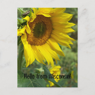 flower postcard