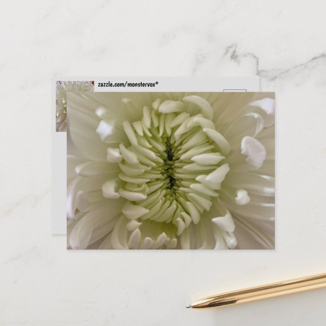 Flower Postcard (Front/Back In Situ)