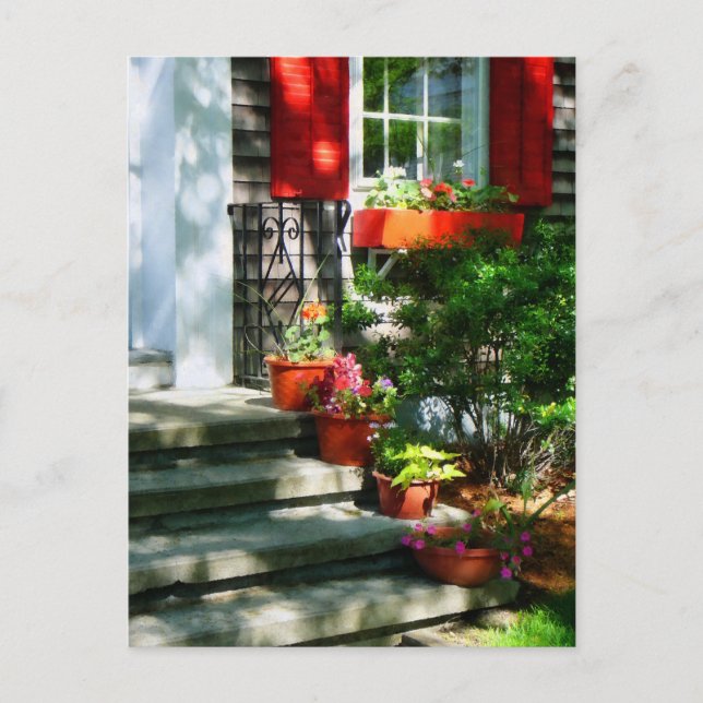 Flower Pots and Red Shutters Postcard (Front)