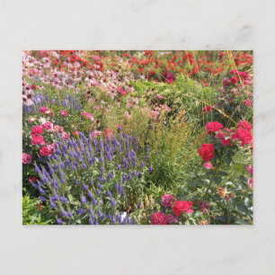 Flower Power - 3 Postcard