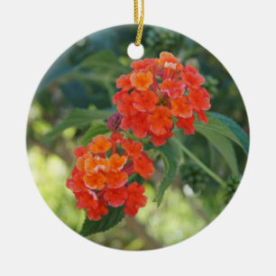 Flower power et ornement de nature - Lantanas
