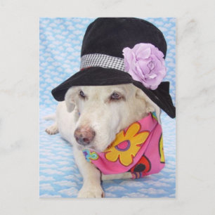 Flower Power Myrtie Postcard