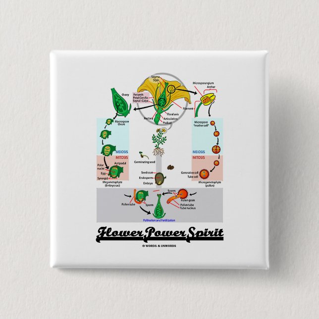 Flower Power Spirit (Angiosperm Life Cycle) 2 Inch Square Button (Front)